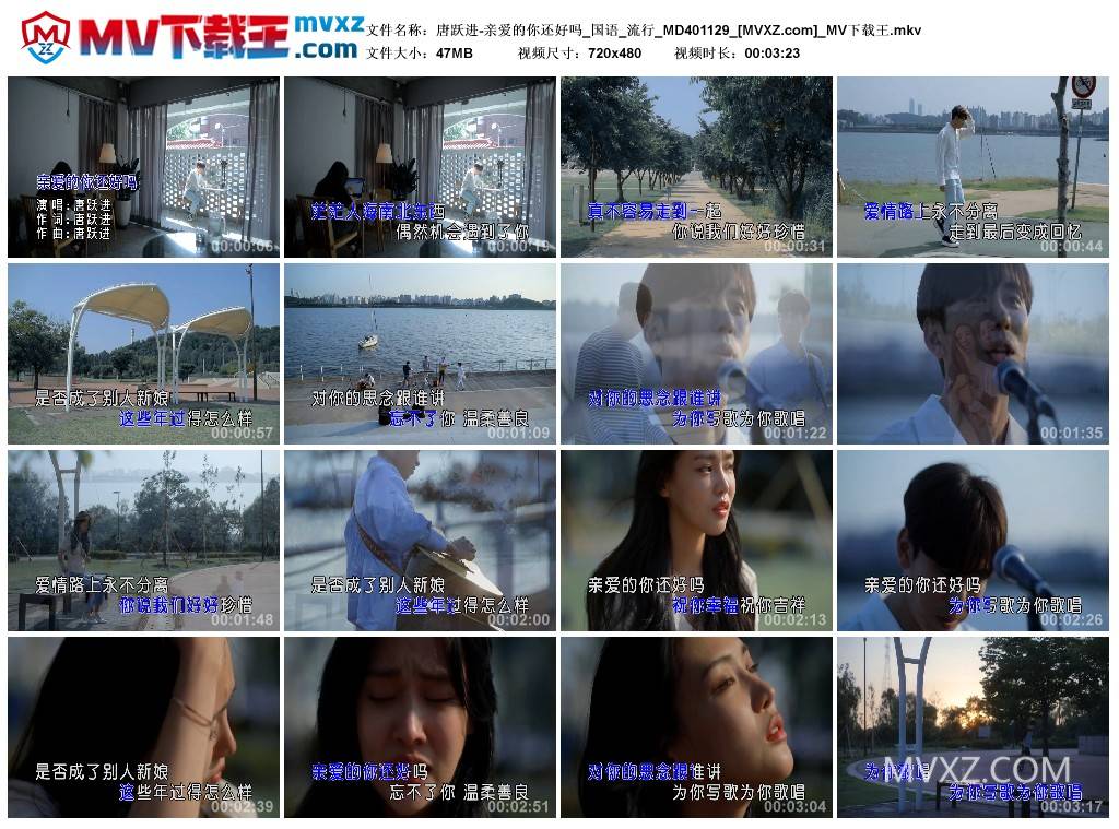 唐跃进-亲爱的你还好吗_国语_流行_MD401129